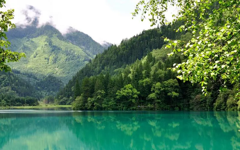 高效智慧